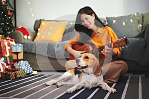 Woman with beagle puppy at Christmas or New Year's day