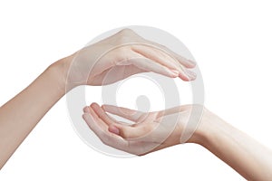 Woman beautiful hands on a white background hold something