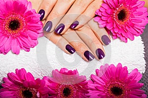 Woman with beautiful manicured purple nails