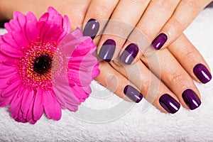 Woman with beautiful manicured purple nails