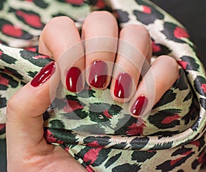 Woman with beautiful manicured red fingernails gracefully crossing her hands to display them to the viewer on a white background