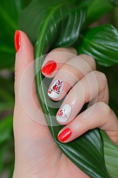 Woman with beautiful manicured red fingernails gracefully crossing her hands to display them to the viewer on a white background