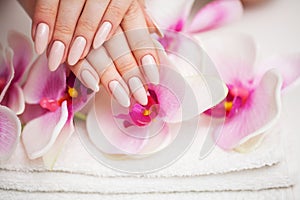 Woman in a beauty studio doing a new manicure