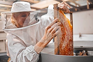 Woman beekeeper, honeycomb and beekeeping, sustainability in nature at bee farm warehouse. Farming, bees and agriculture