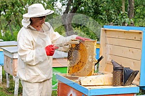 Woman beekeeper selects honey comb to drain