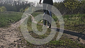 Woman on Bicycle Rides Along Green Forest Path on Sunny Summer Day, Slow Motion