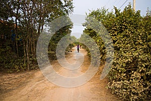 Woman Bicycling on a Road in Rural Cambodia Asia Dogs