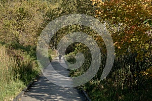 Woman Biking on Wooden Decking on Towpath