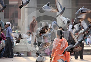 Woman and birds at Jama Masjid, Delhi