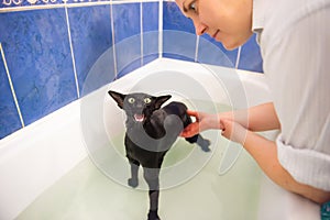 Woman and black cat in water taking bath