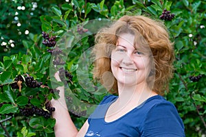 Woman in a black chokeberry bush in the garden