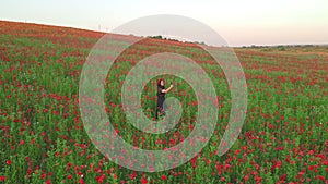 woman in black dress at poppies flowers field shooing on her phone beauty of the nature