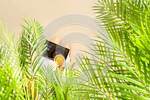 Woman blogger with tablet holding glass of water with piece orange sitting under palm tree branches on the sand of beach . Summer