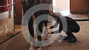 Woman with blonde hair putting on a harness on the horse legs