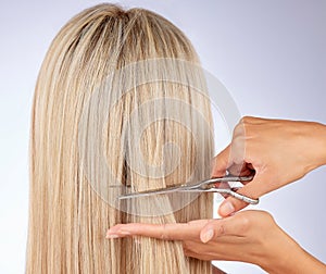 Woman, blonde and hairdresser with scissors for cut, aesthetic change and makeover in studio background from the back