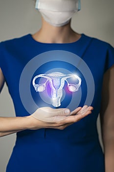 Unrecognizable woman in blue clothes holding highlighted handrawn Uterus in hands. Medical illustration, template, science mockup photo