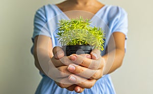 A woman in a blue dress is holding a small green plant in hands and giving it to the camera