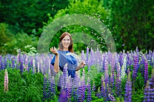 A woman in a blue dress on a purple field of lupines. A meadow with purple flowers in summer. The girl throws the flowers up,