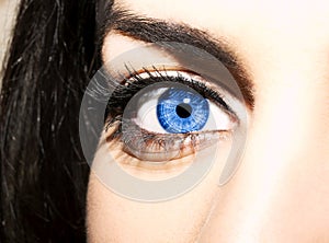 Woman blue eye with extremely long eyelashes