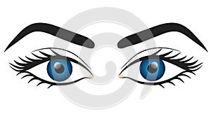 Woman blue eyes hand draw stock vector illustration design