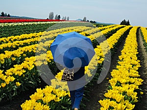 Tulip Fields Valley Festival Figure with Umbrella photo