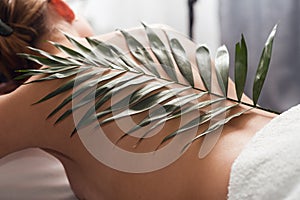 Woman Body Beauty Back Side. Slim Fit Model Rear View Silhouette with Palm Tree Leaf