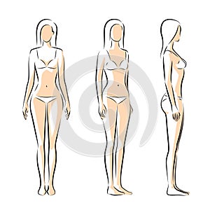 Woman body. Full-length girl standing portrait. Set of body-positive female. Different posing figures. Vector fashion