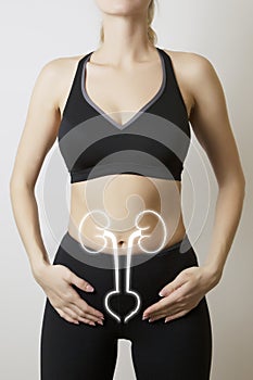 Woman body with visualisation of kidneys and bladder