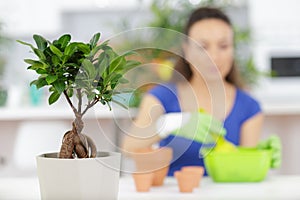 Woman with bonsai