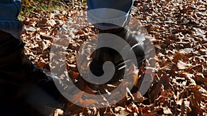 A woman in boots walks through the autumn park, forest in the Alps. Close-up of female legs in boots walking on fallen