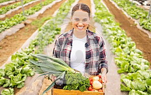 Woman with box of vegetables and agriculture, farmer smile in portrait, fresh harvest on sustainable farm. Farming