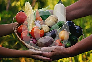 A woman and a boy are holding a basket with freshly picked organic vegetables