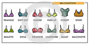 Woman bra types collection vector icons of fashion brassiere lin photo