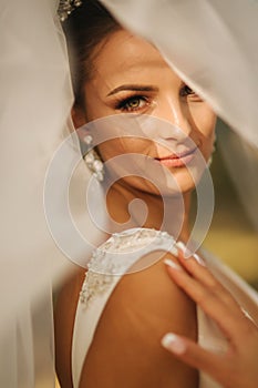 Woman in bridal veil. Beautiful female in wedding dress