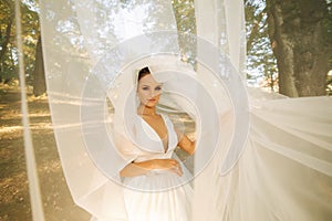 Woman in bridal veil. Beautiful female in wedding dress