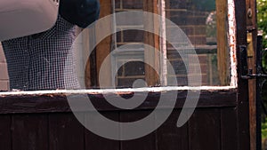 Woman brings in laundry basket view through kitchen door