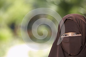 Woman In Brown Niqab