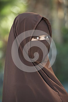 Woman In Brown Niqab