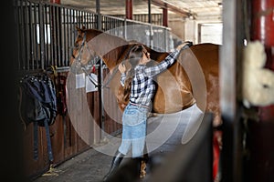 Woman brushes her horse in stables
