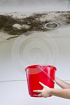 Woman with a bucket under damaged ceiling