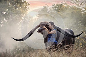 Woman with Buffalo in thailand