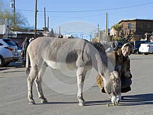 Woman with Burro in Street photo