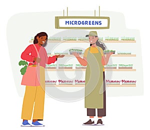 Woman Buyer Character Carefully Selects Fresh Microgreens From The Produce Section Of Supermarket, Vector Illustration