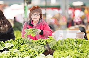 Woman buying lettuce at market place photo