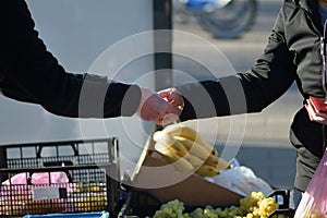 A woman buys fruit at the market, hands the money into the hands of the male seller.