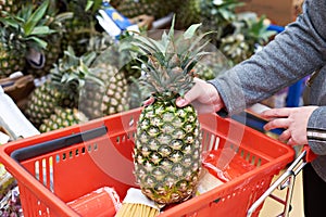 Woman buys pineapple at grocery store