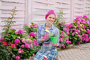 Woman care of flowers in garden. hydrangea. Spring. Flower care watering. soil fertilizers. happy woman gardener with