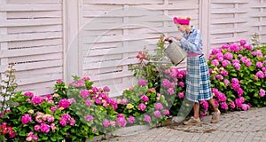 Woman care of flowers in garden. hydrangea. Spring and summer. Flower care and watering. soils and fertilizers. happy