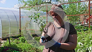 A woman carefully examines holding a young rose seedling in her hands.