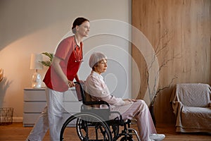 Woman caregiver preparing elderly lady in wheelchair for walk